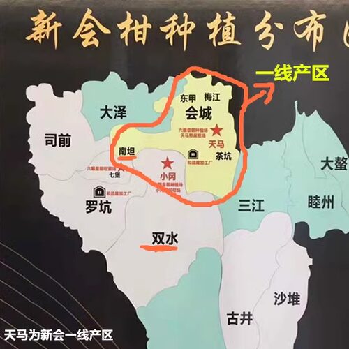 2023年2021年新会陈皮天马圈枝青皮二红皮大红皮 - 图3
