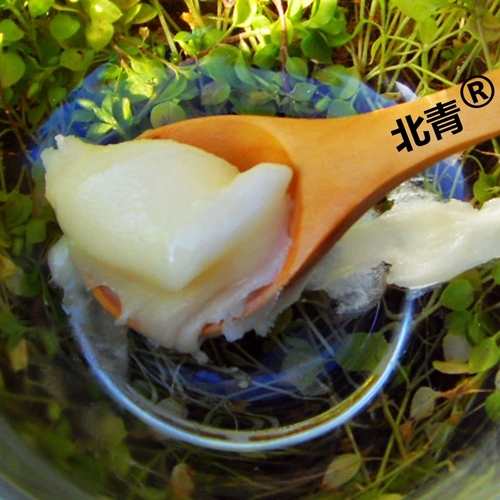 Северо -восточный глубокий горный дерево снежный мед мёд