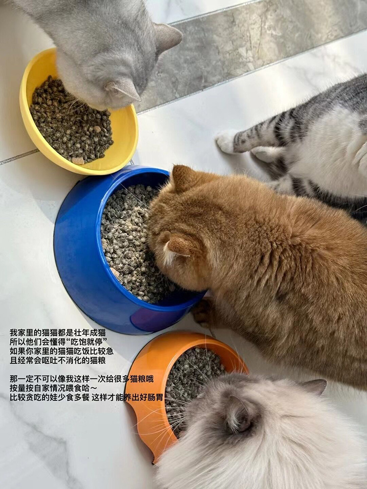 腐败猫蓝氏猫粮猎鸟乳鸽冻干全价宠物营养发腮1.5kg-图2