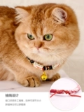 Коррупция кошачьи кольцевые и ветряные кошачьи кошачьи кошачьи кошачьи колокол, собаки, собаки, кольцо шеи кольцо кольцо для домашних животных