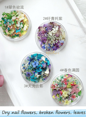 ins风美甲干花莫奈花园干花