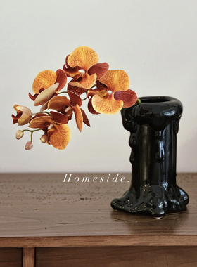 Homeside陶瓷节日创意造型花瓶
