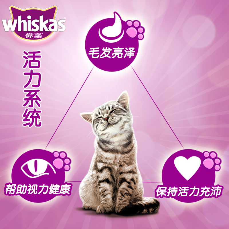 魔力猫盒伟嘉成猫粮10kg全阶段英短加菲通用旗舰店官方营养20斤装 - 图0