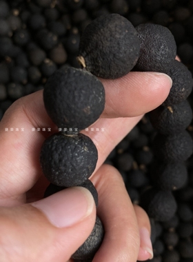 新会柑胎手串青皮子手链文玩挂饰