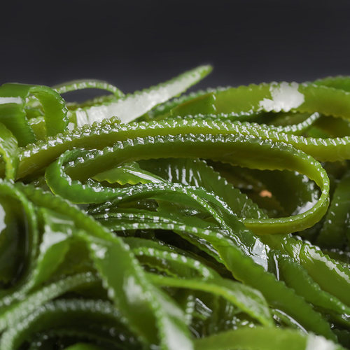 荣参源盐渍海带丝海带海白菜裙带海洋蔬菜凉拌菜海藻非干货包邮 - 图1