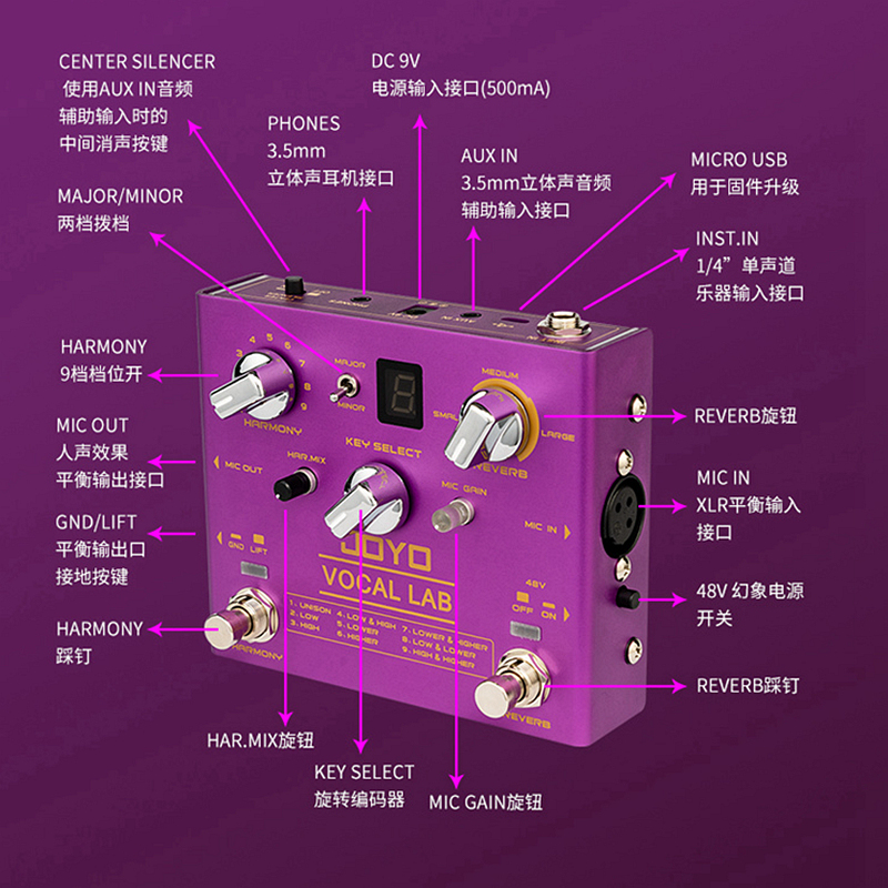 JOYO卓乐人声效果器男女和声混响消原音伴奏制作电木吉他弹唱R-16 - 图2