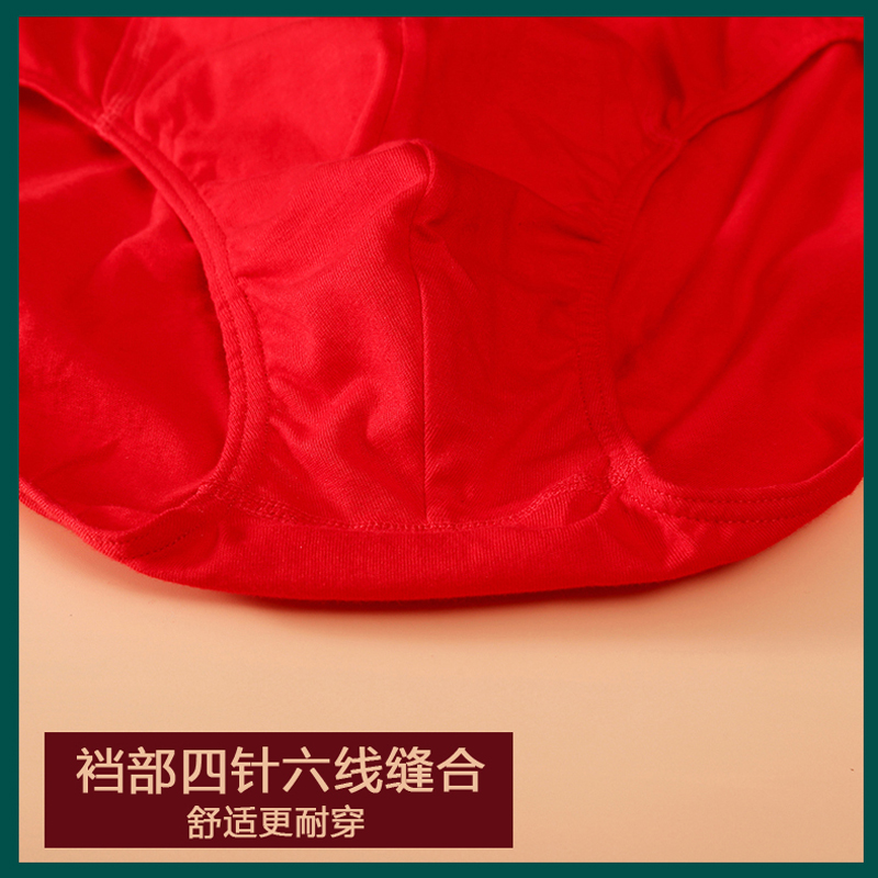 红色本命年三角内裤100%纯棉男士短裤大码中腰男款全棉结婚红裤头 - 图2