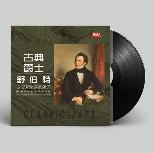 莫扎特/贝多芬/肖邦 古典音乐 老式留声机LP黑胶唱片唱盘12寸碟片 - 图2