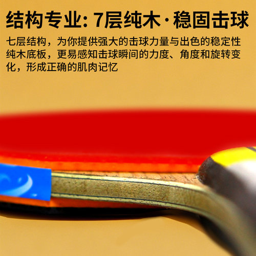 6A+六星双鱼乒乓球拍单拍1只进攻型学生直拍横拍乒兵球拍弧圈快攻 - 图1