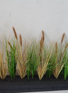 稻谷稻草稻田假麦穗麦草