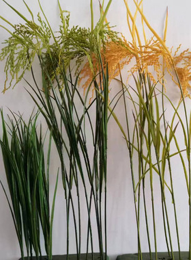 禾苗仿真仿真道具绿色禾苗塑料花