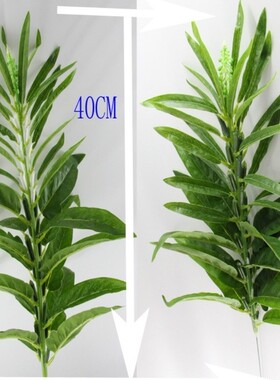 仿真植物黑芝麻果树五谷杂粮