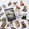 Cute little animal photo graffiti sticker DIY diary