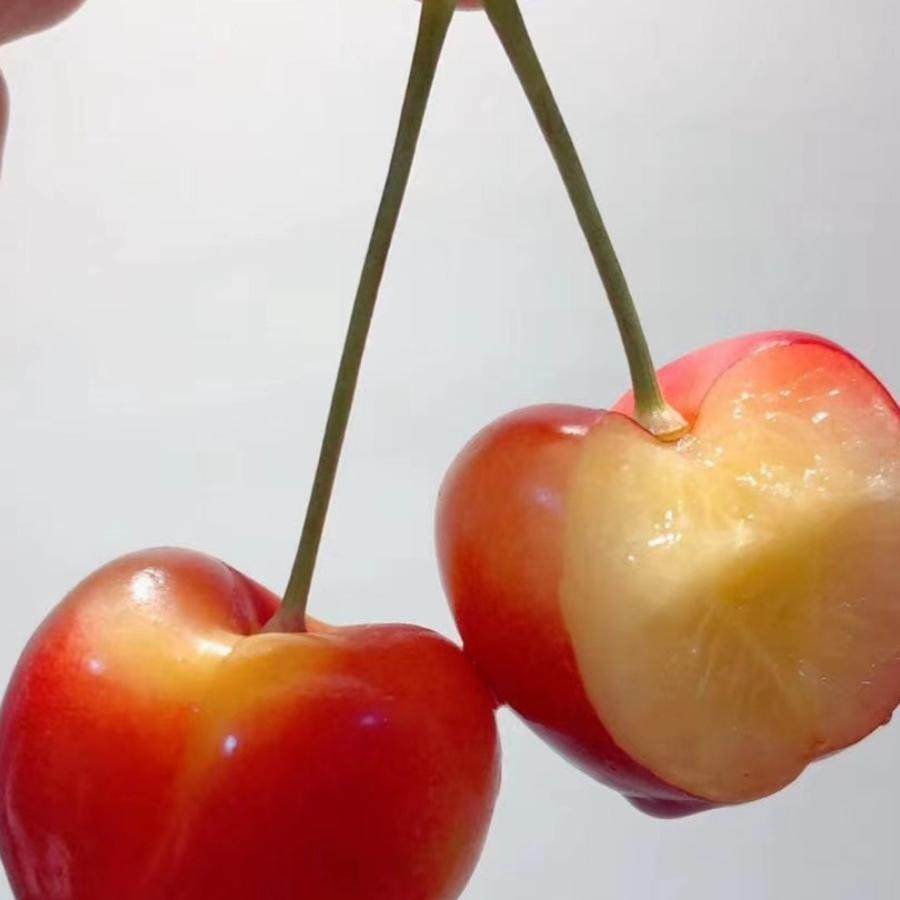 新鲜水果智利雷尼尔黄金车厘子黄樱桃2斤礼盒装4JJJ大果 顺丰包邮,淘宝优惠券,粉丝福利购,淘宝优惠卷