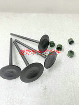 Non-polar 300R 300RR AC 300GY 300DS Longxin YF300 valve into the exhaust door oil seal