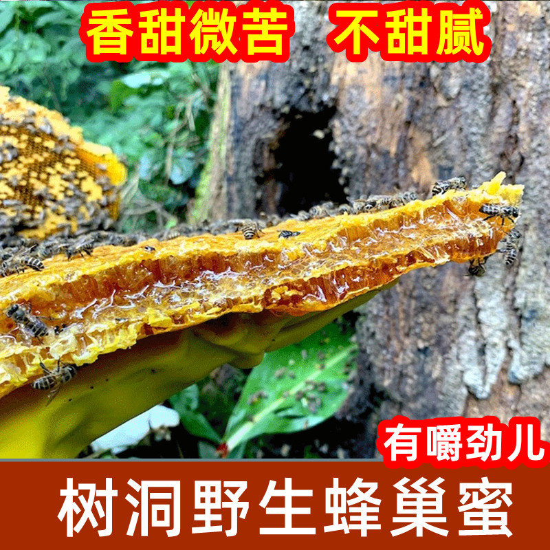 土蜂土蜂蜜纯正天然野生蜂巢蜜嚼着吃蜂蜜老蜂巢蜜蜂窝丰巢蜜蜂巢
