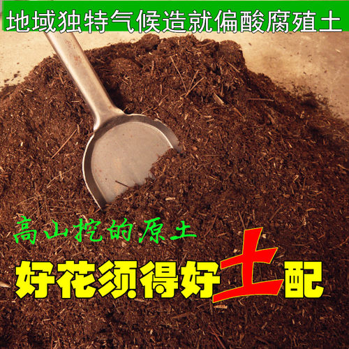 松针腐殖土酸性肥料杜鹃花山茶栀子花君子兰蓝莓等花卉天然营养土 - 图0