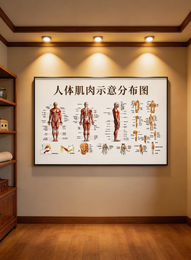 骨科养生馆人体骨骼肌肉图装饰画