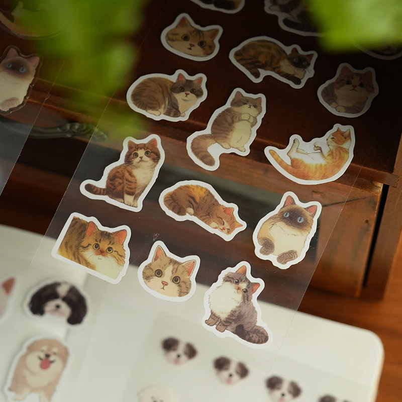 小日子不翻篇 ins可爱网红猫猫头平张贴纸滴胶立体手机壳贴纸,淘宝优惠券,粉丝福利购,淘宝优惠卷