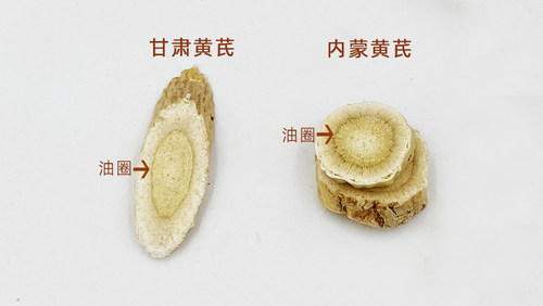 内蒙黄芪黄耆药性足油圈厚手选豆香味道浓郁无硫250克包邮-图0