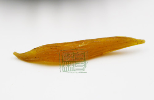 野天门冬天冬 四川宜宾大天冬 刮皮自然无硫清香浓郁选250克包邮 - 图1