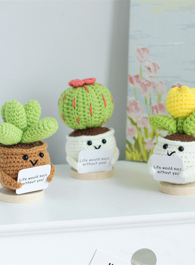 跨境新款创意针织盆栽迷你可爱积极盆栽带鼓励卡生日礼物房间装饰