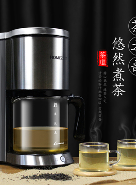 德国HOMEZEST/汉姆斯特煮茶器全自动蒸汽煮茶器 8秒出茶大容量茶