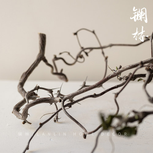 禅意侘寂干花天然干树枝装饰风干弯曲龙爪插花造景枯枝仿真龙枣枝 - 图1