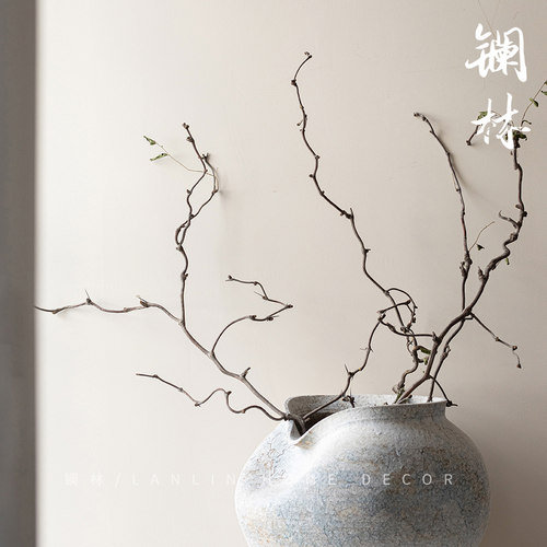 禅意侘寂干花天然干树枝装饰风干弯曲龙爪插花造景枯枝仿真龙枣枝 - 图3