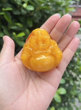 天然蜜蜡鸡油黄毛衣链琥珀