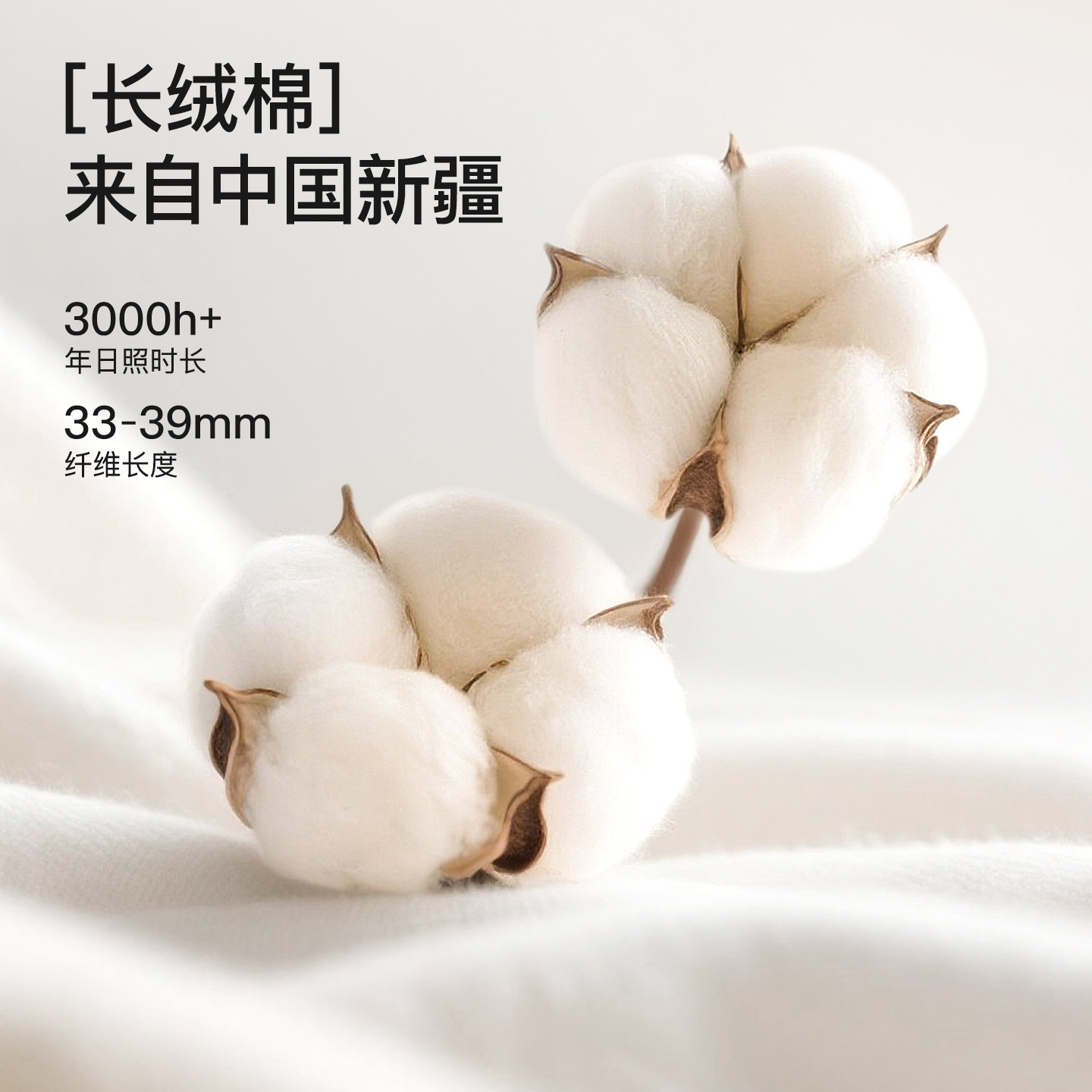 秋衣秋裤套装女士纯棉A类抗菌保暖内衣圆中领棉毛衫打底2025冬季,淘宝优惠券,粉丝福利购,淘宝优惠卷