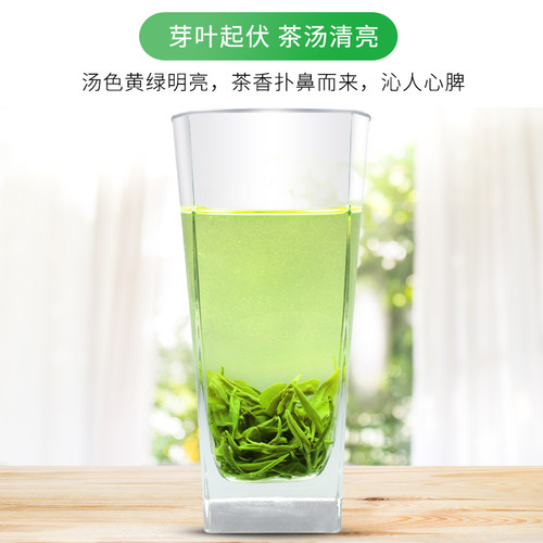 2026汉中毛尖春新茶汉江春陕西手工毛峰绿茶西乡炒青茶叶自喝推荐 - 图2