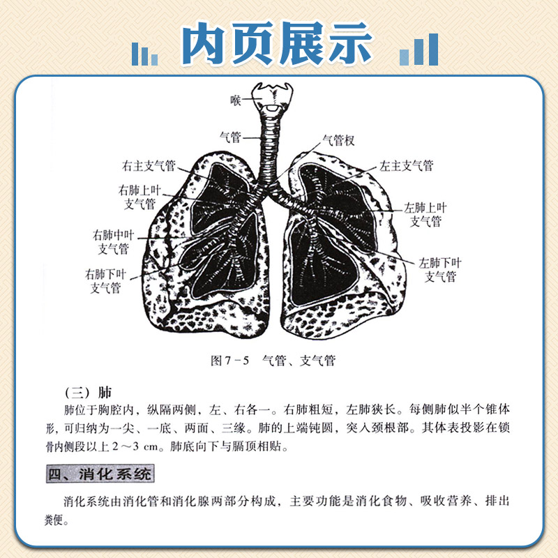 正版药店店员基础训练手册专业职业技能谢子龙入职常备药店工作者用书籍大药房采购图书教材教辅药店管理书籍-图2