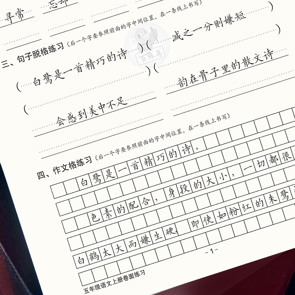 小学语文考试卷面训练习快书写练字帖三四五六年级上下作文格硬笔