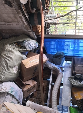 巴西可可叶 茶室空间婚礼现场装饰艺术空间点缀