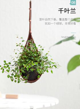 竹藤石斛空气凤梨泰国手工挂壁篮