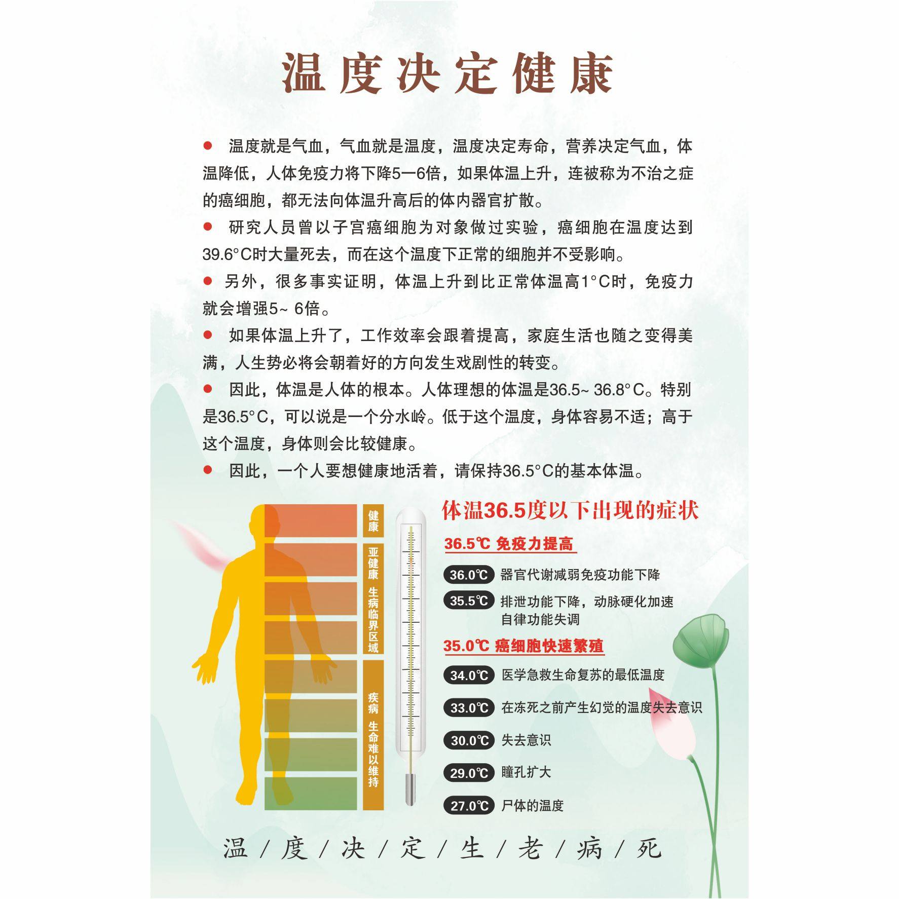 中医养生装饰画美容院海报精油开背艾灸刮痧拔罐针灸经络挂画kt板,淘宝优惠券,粉丝福利购,淘宝优惠卷