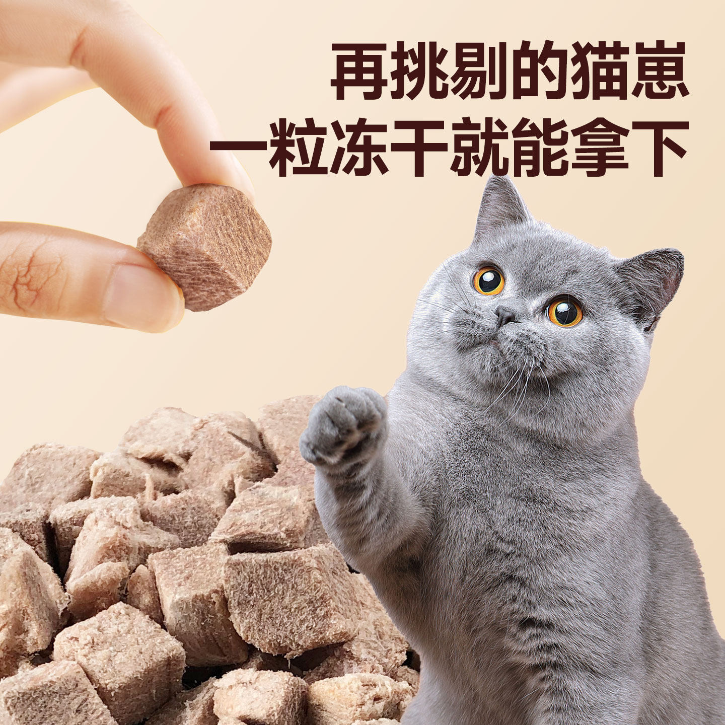 冻干猫零食鸭肉粒冻干鸭肉400g冻干猫零食狗狗猫咪猫粮鸭肉,淘宝优惠券,粉丝福利购,淘宝优惠卷