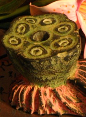 家居饰品厂价直销中式仿古工艺 卫浴用品酒店软装饰 香皂盒-荷趣