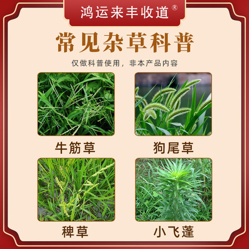 金帆达草甘磷68%草甘膦铵盐果园柑橘园除草烂根剂除草剂757杀草剂 - 图0