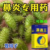 Rhinitis Nasal Chia Hypertrophy Special Medicine Special Effects Miao Family Pale of Herbal Allergy Nasal Sinus Sinusitis Cream