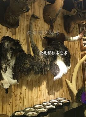 标本挂件获奖工艺品厂直营