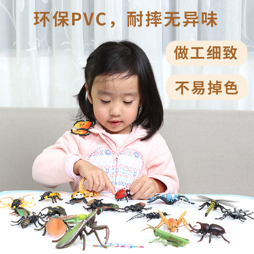 单个仿真动物昆虫模型蚊子七星瓢虫蝴蝶蜜蜂蟋蟀蜘蛛蜻蜓螳螂蝎子 - 图0