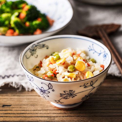 日本进口线唐草碗盘子陶瓷碗日式饭碗面碗家用釉下彩餐具汤碗餐盘 - 图2