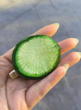 水果发饰手作边夹青萝卜切片