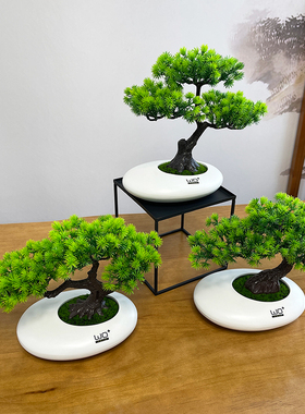 wo+发财树绿植盆景假花