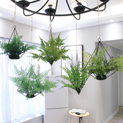 吊挂植物屋内装饰墙面挂件宿舍装饰悬挂绿植物小盆栽垂吊吧台吊饰 虎窝淘