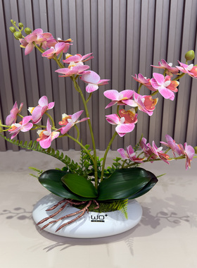 手感PU蝴蝶兰高档仿真花餐桌花