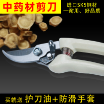 Pharmacy Pharmacy pharmacies in hospital Use Chinese herbal medicine Scissors Traditional Chinese scissors Ginseng scissors Ginseng Ginseng Scissors