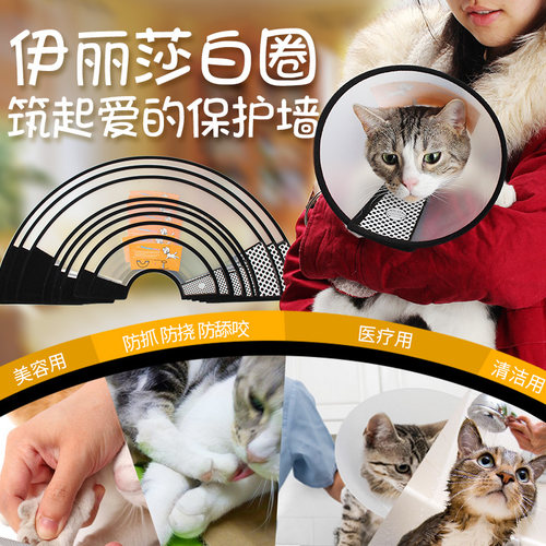 宠物伊丽莎白圈猫狗皮肤病保护套犬猫防抓挠脖圈防咬防舔圈耻辱罩 - 图2